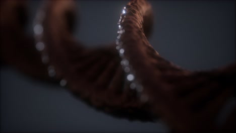 loopable-structure-of-the-DNA-double-helix-animation